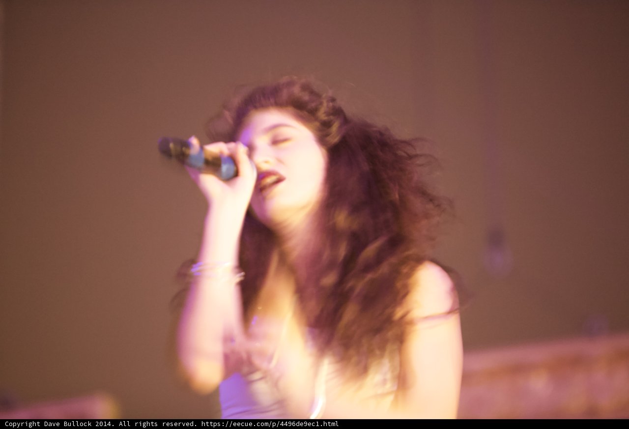 Rocking the Crowd