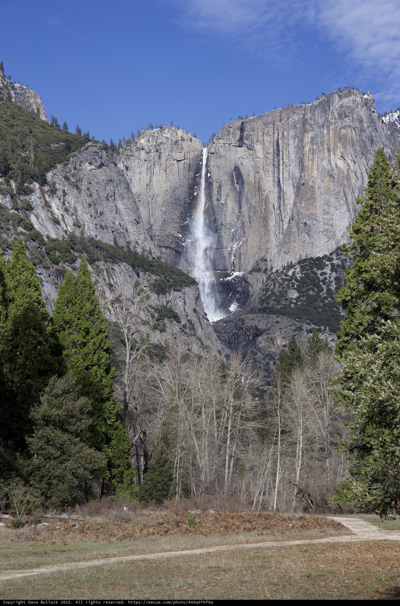 Yosemite Falls Cascading Down Granite Cliffs in Winter