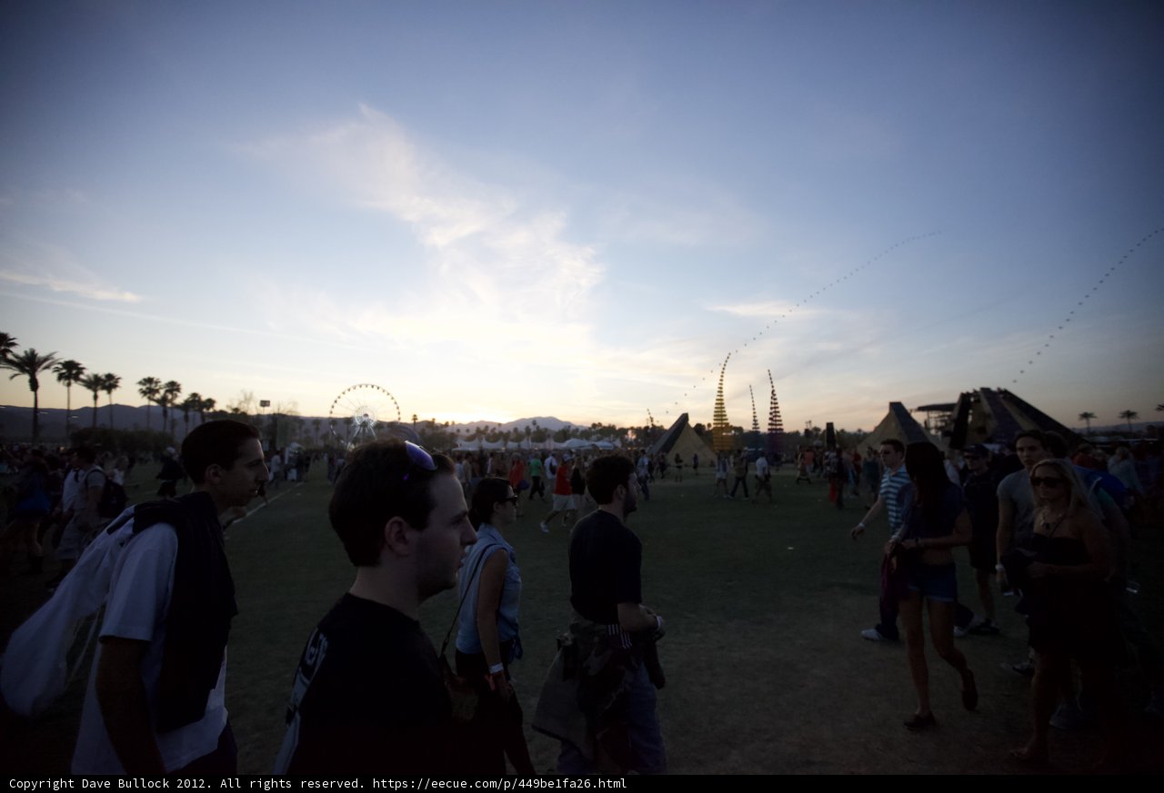 Sunset Gathering in the Grass