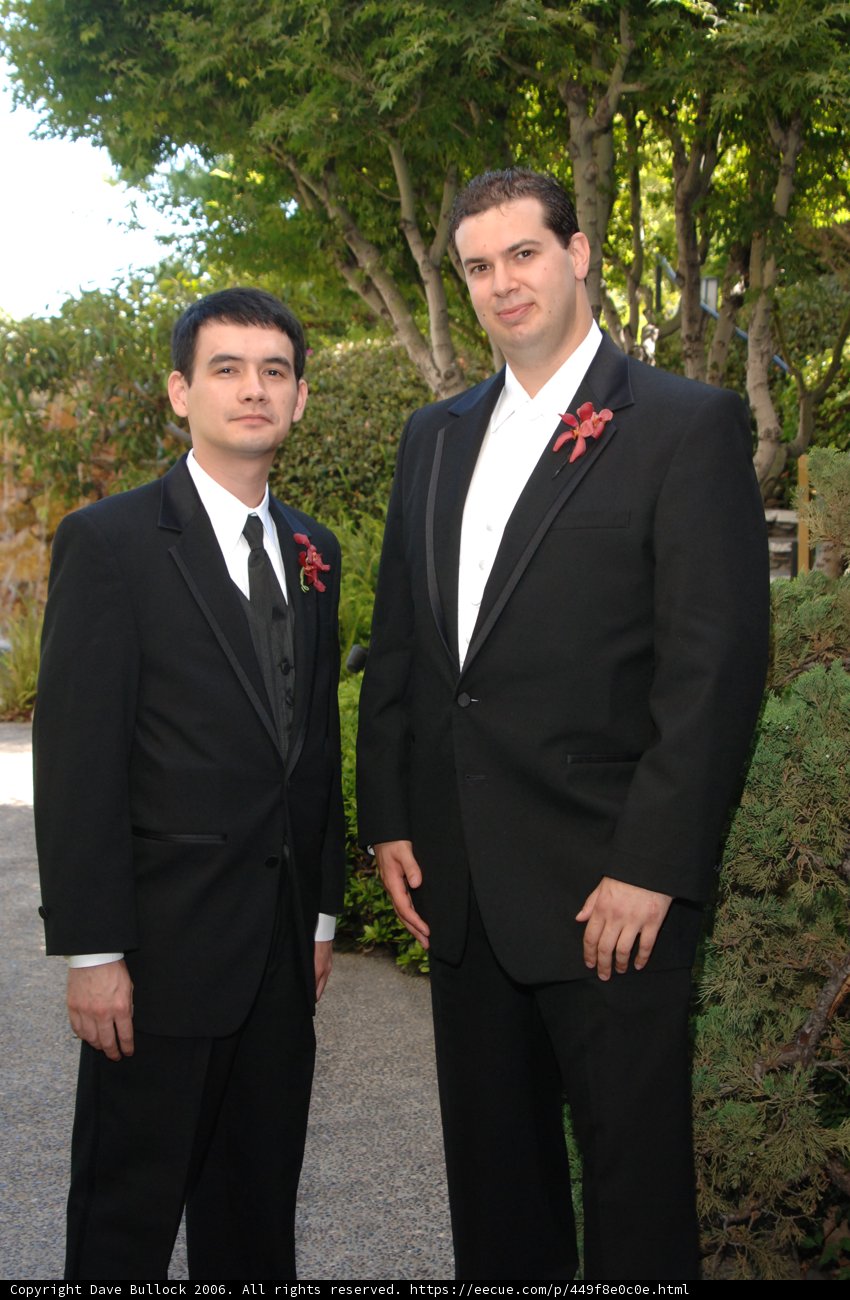 Formal Attire at a Wedding