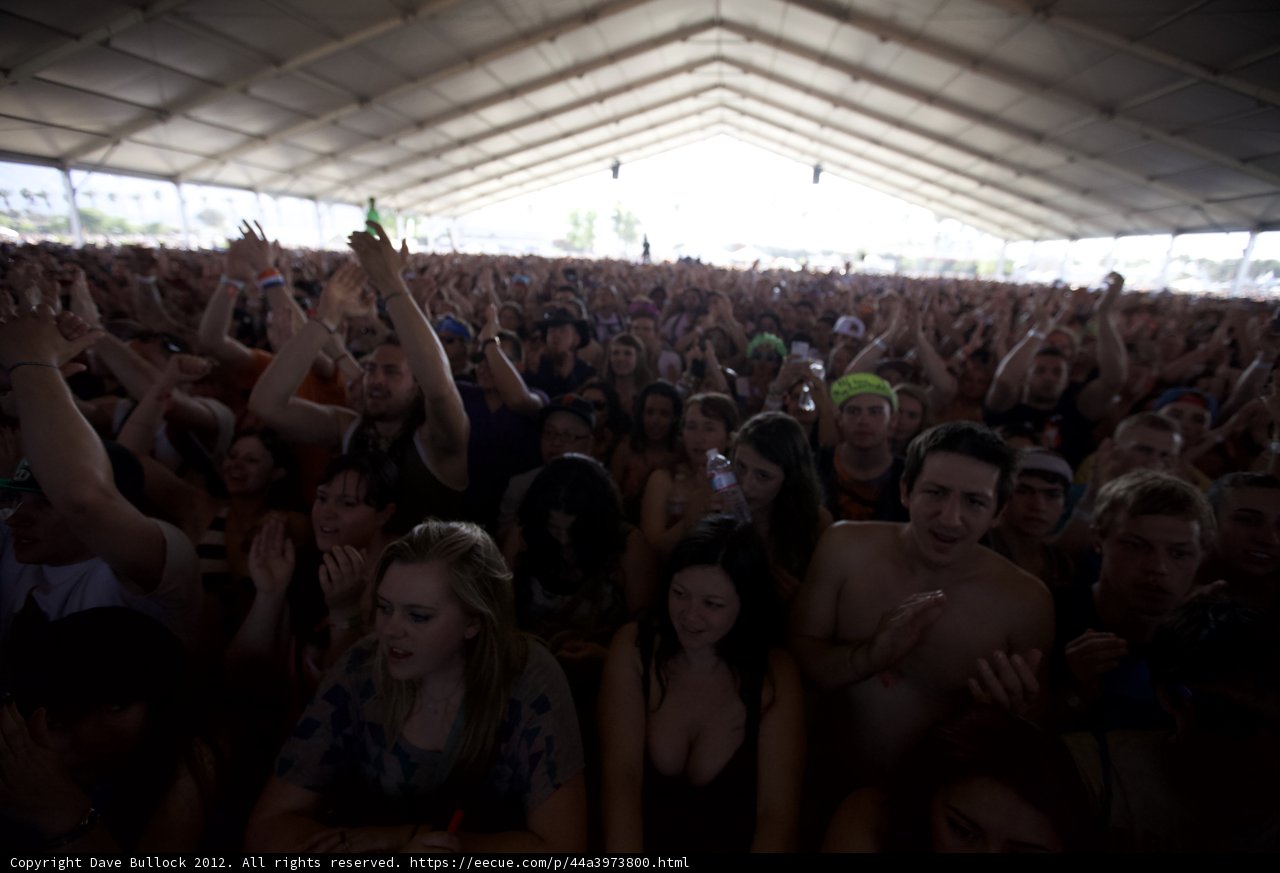 Coachella 2012 Concert Crowd