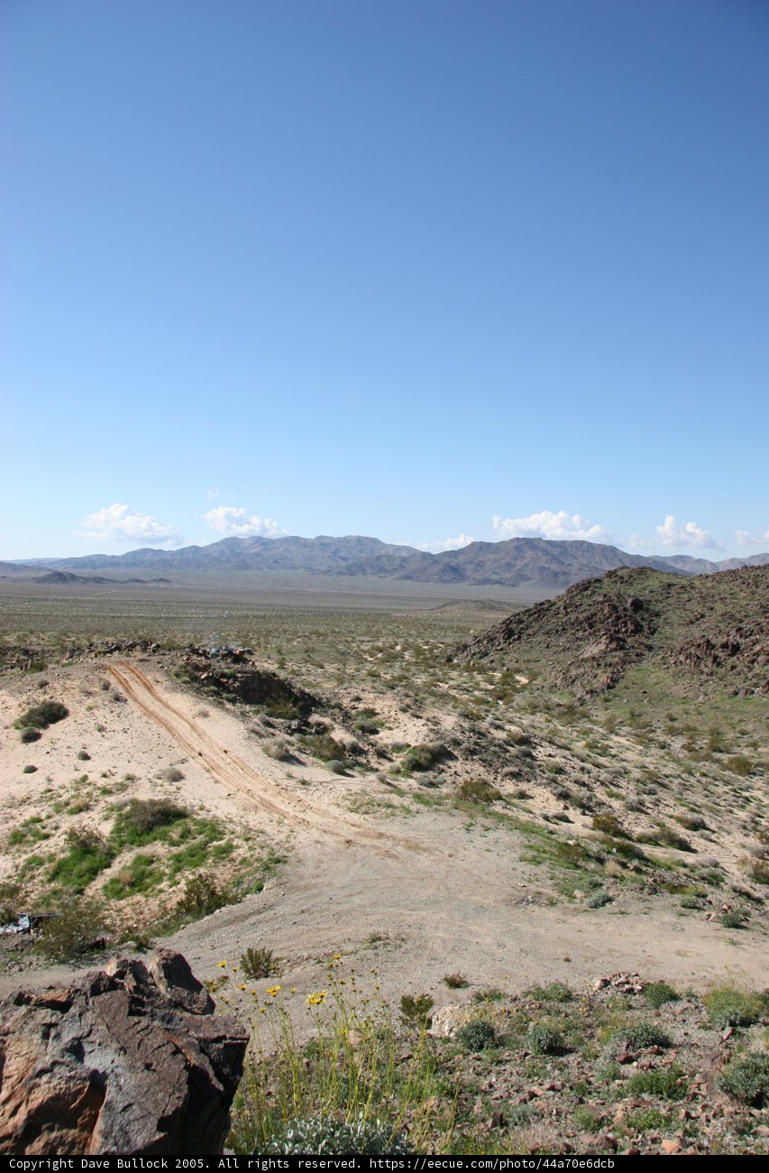 Desert Scenery: A Dirt Road in the Wilderness