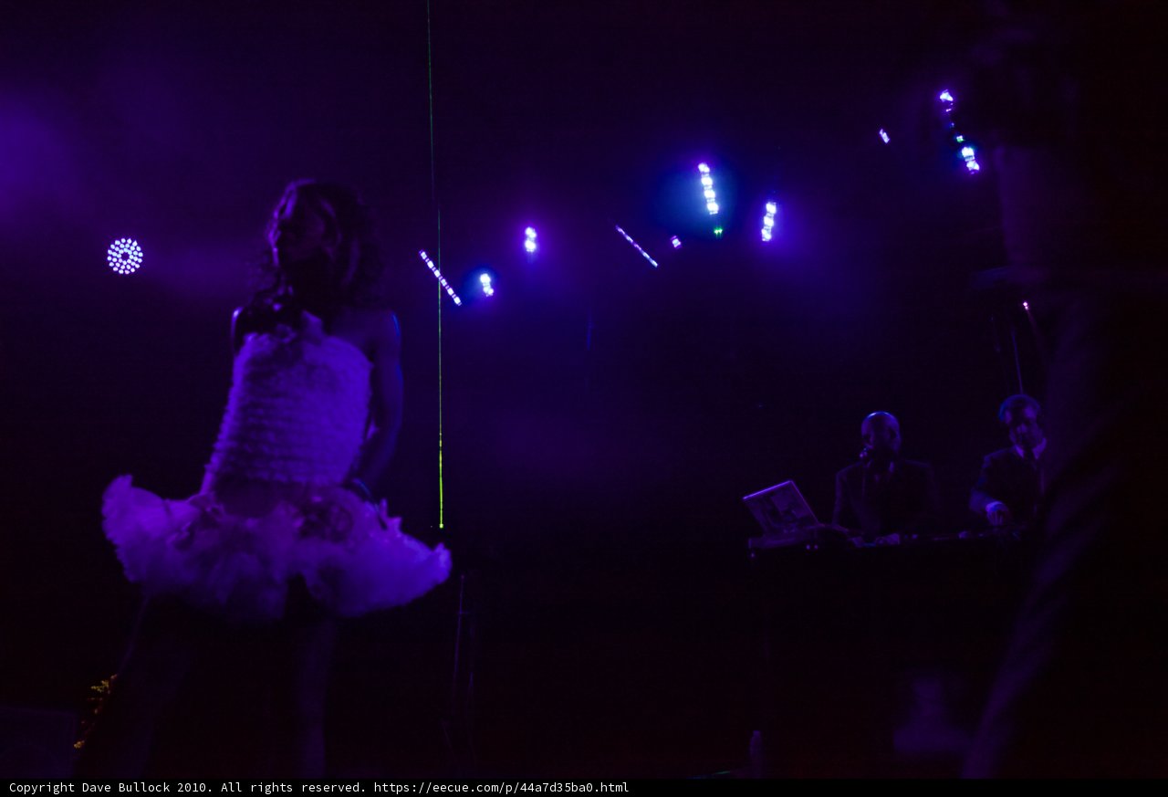 Spotlight on the Entertainer