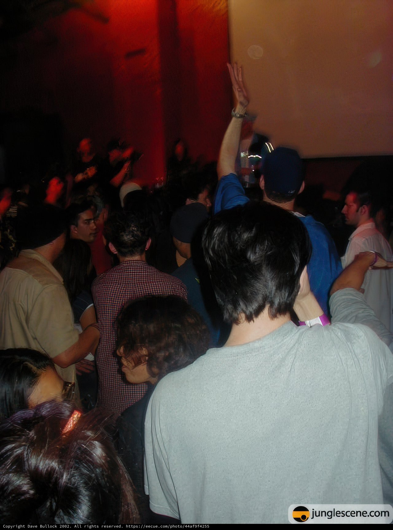 Nightclub Party