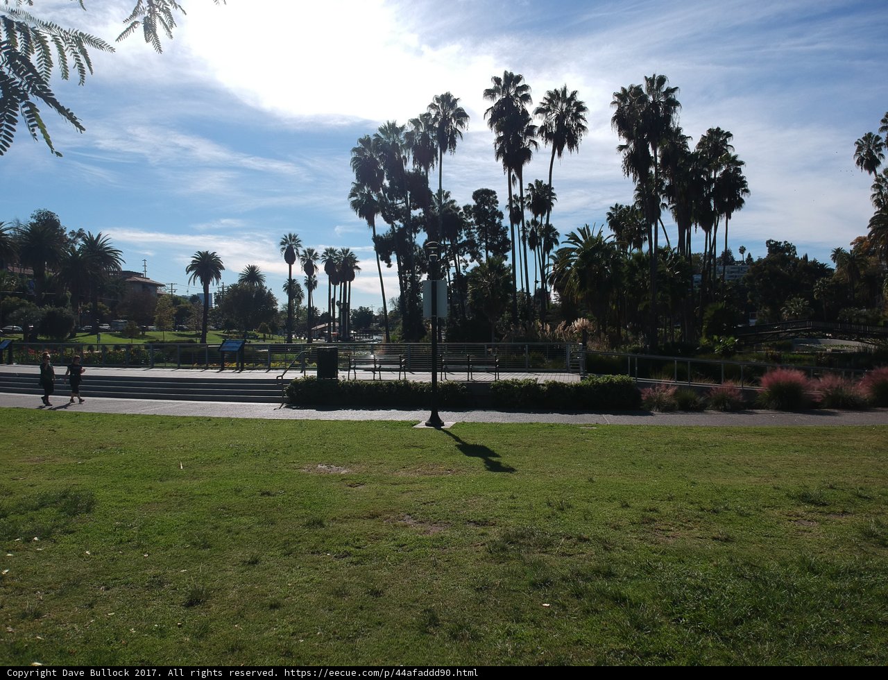 Skating under the Echo Park sun