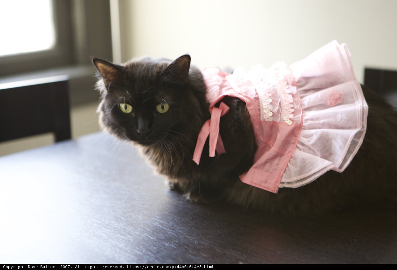 Isabella the Ballerina