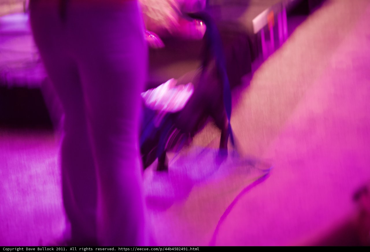 The Purple Performer