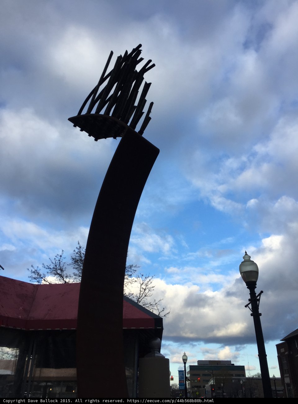Skyward Bird