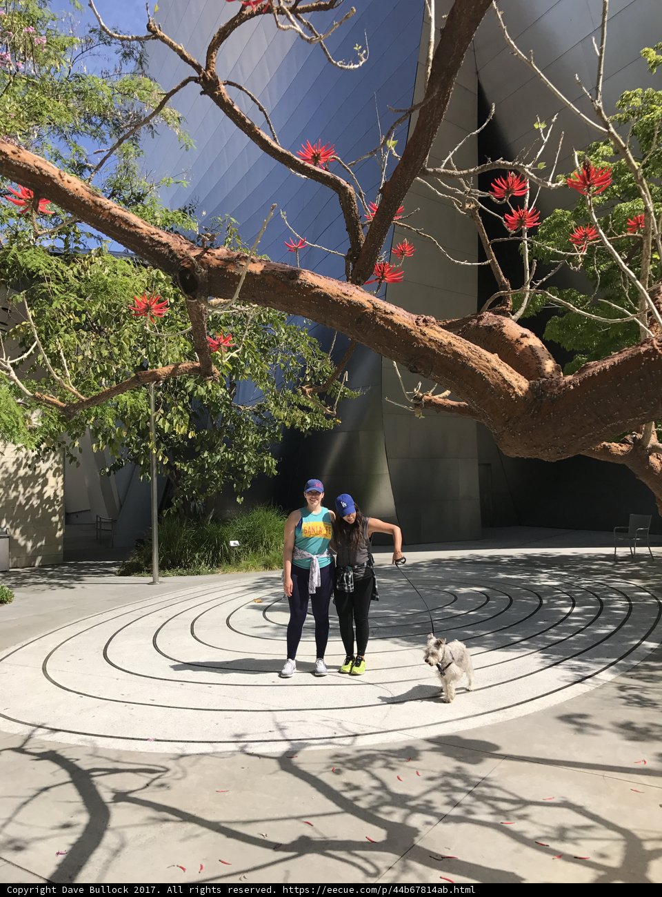 Standing in Nature's Beauty