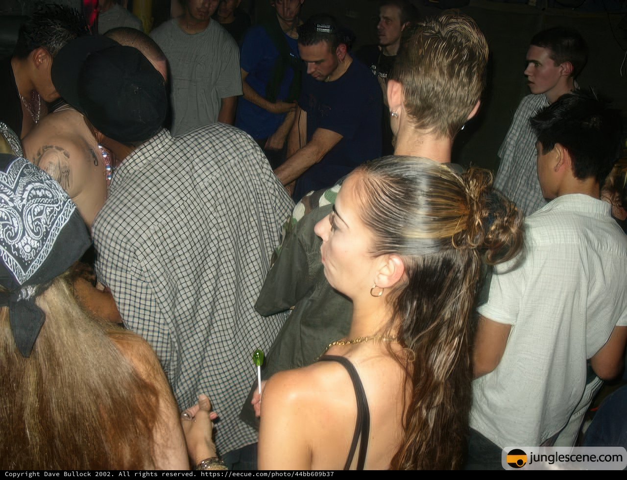 Nightclub Gathering