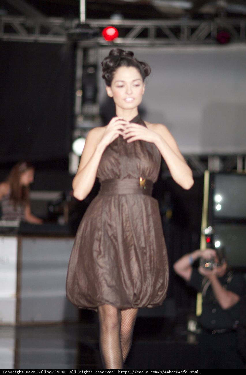 Elegance on the Runway