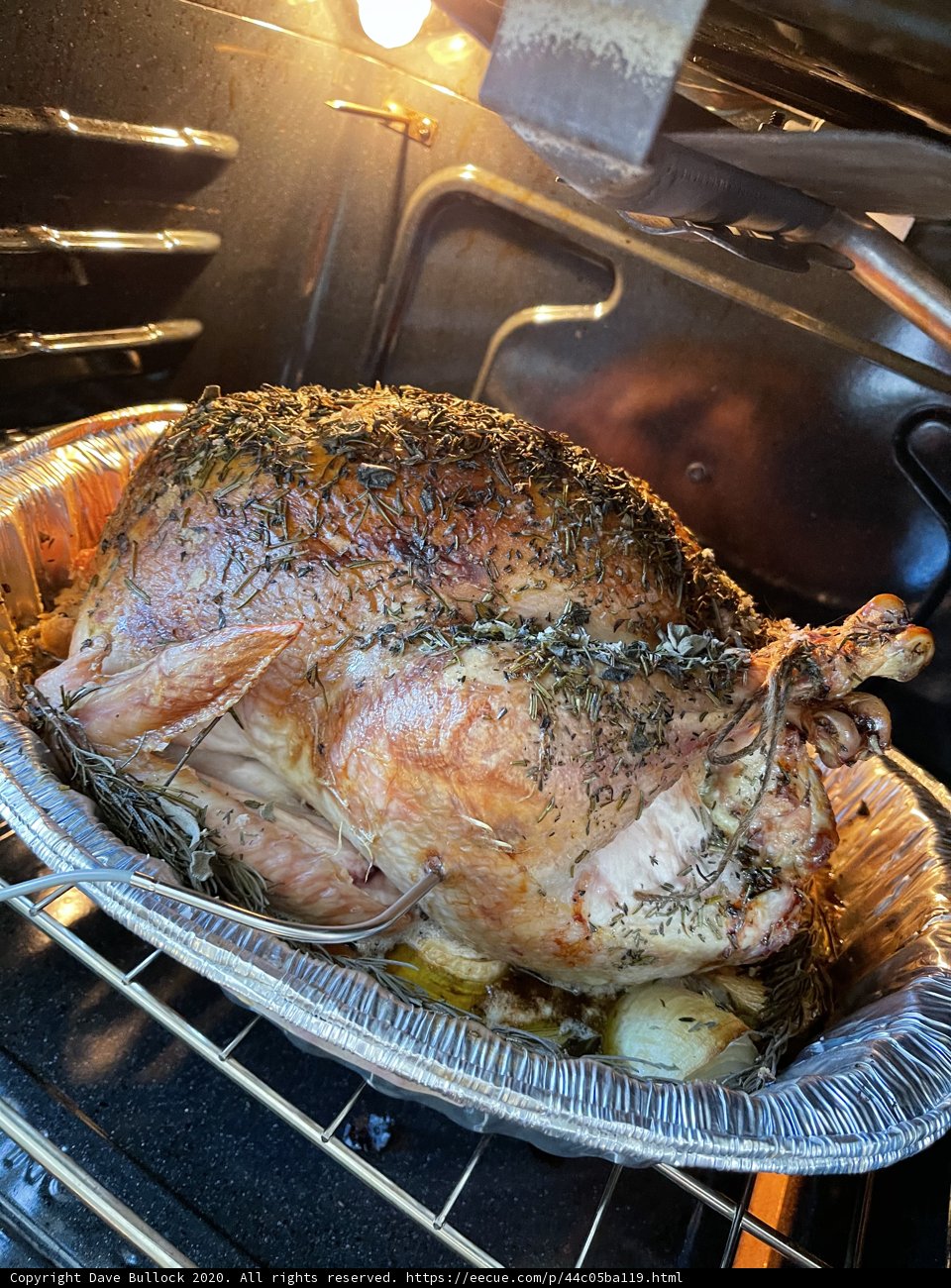 Thanksgiving Turkey Roasting in an Electrical Oven