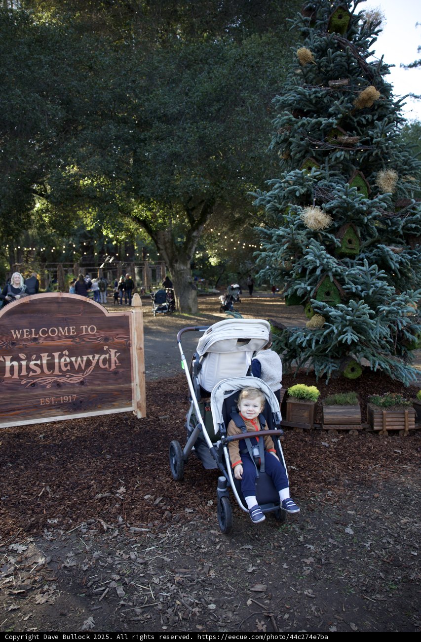 Welcome to Thistlewyck