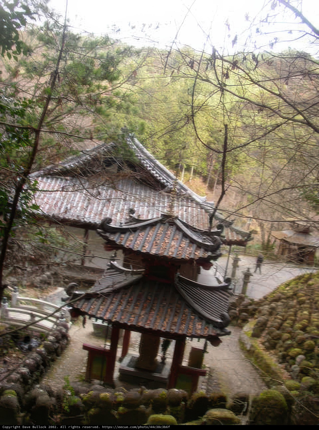 Woodsy Pagoda Path