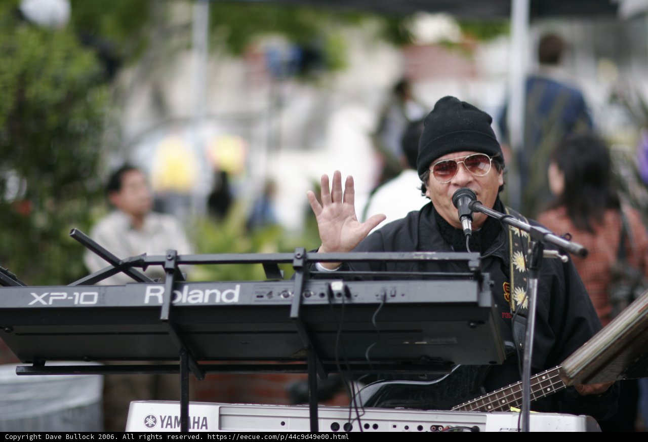 Keyboardist in Shades