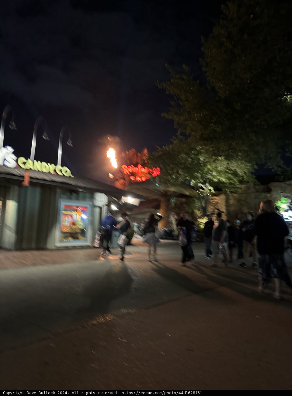 Night Stroll at Disney Springs