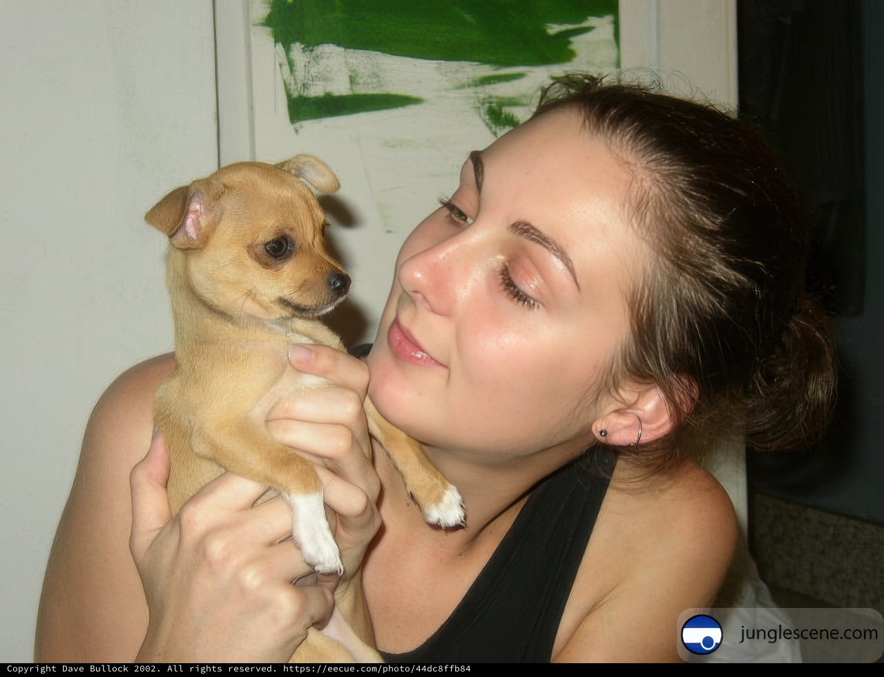 Lady and her Chihuahua Puppy