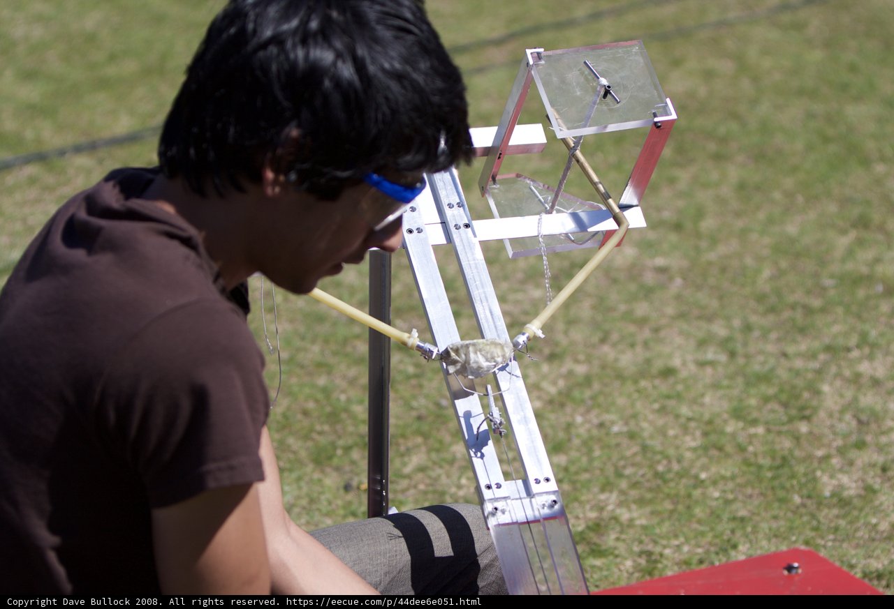 Balloon-Making Fun in the Sun