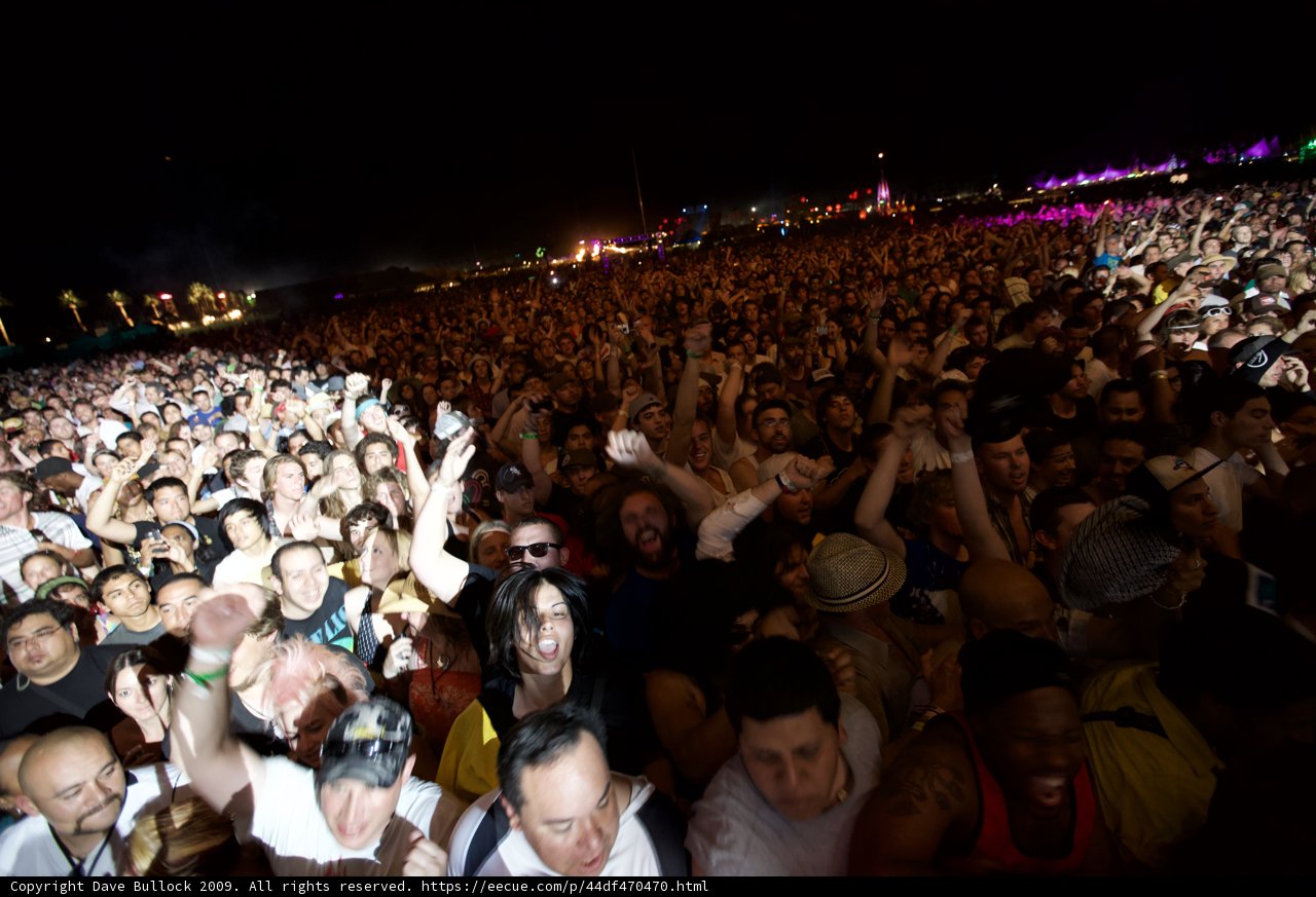 Festival Fever