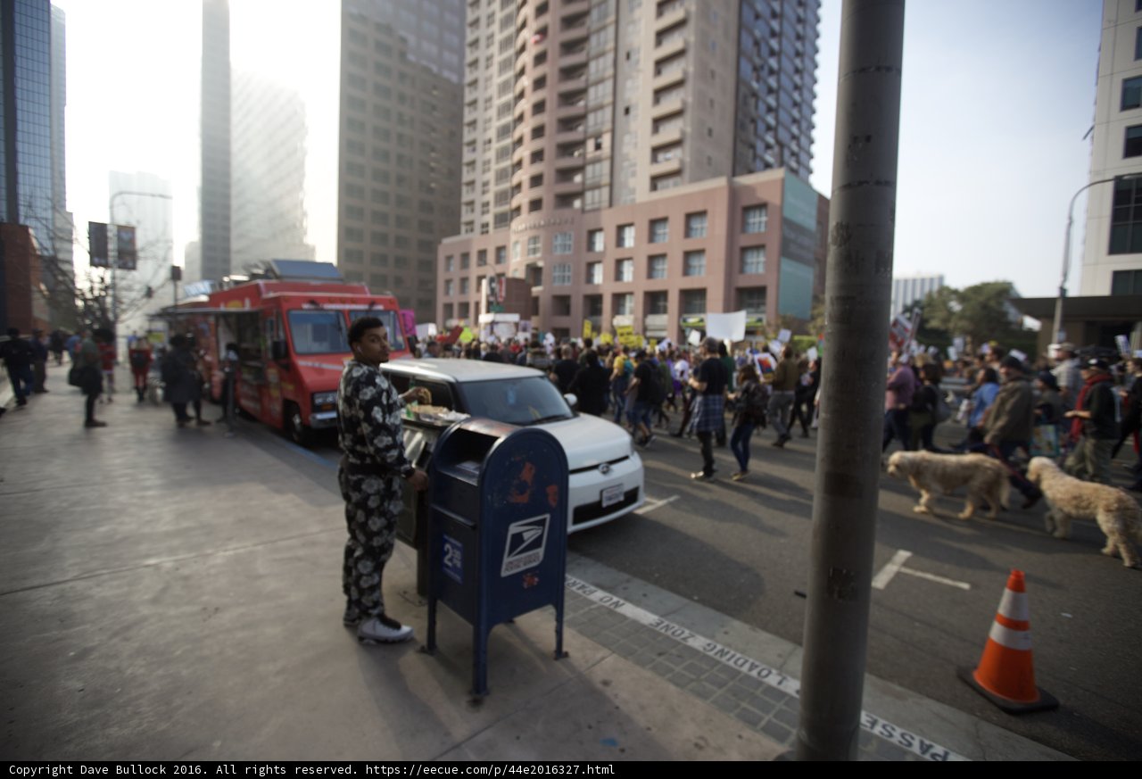 Man and Dog Standing by Mailbox in the City