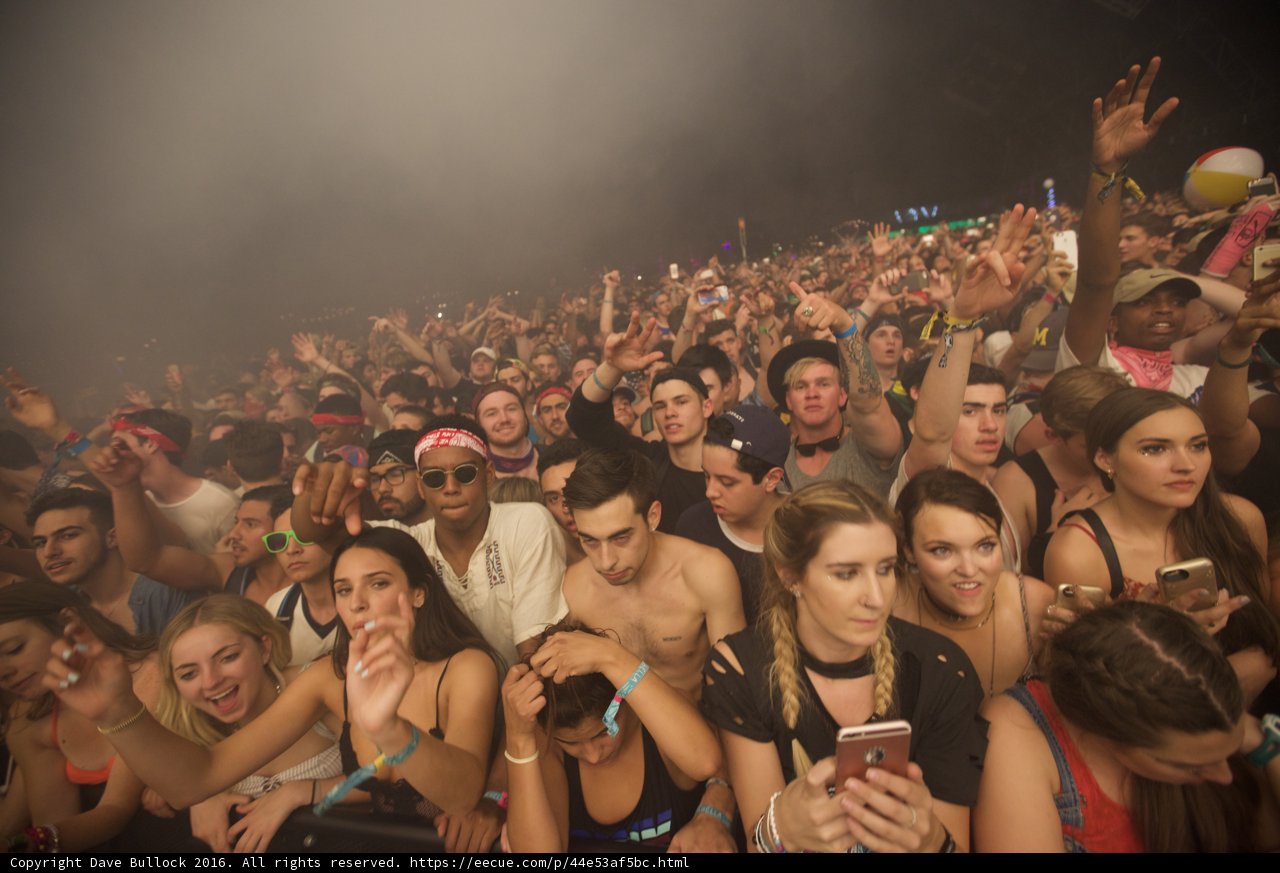 Music lovers unite