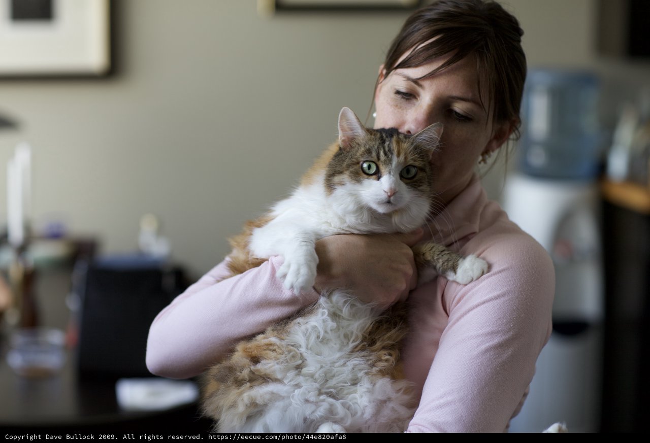 Woman Tenderly Holds Fluffy Calico Cat Indoors