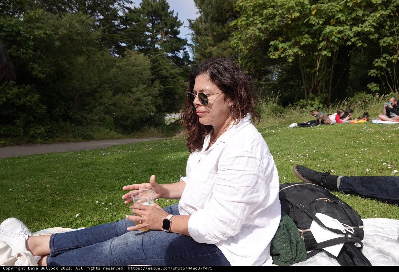Relaxed Park Picnic on Summer Day