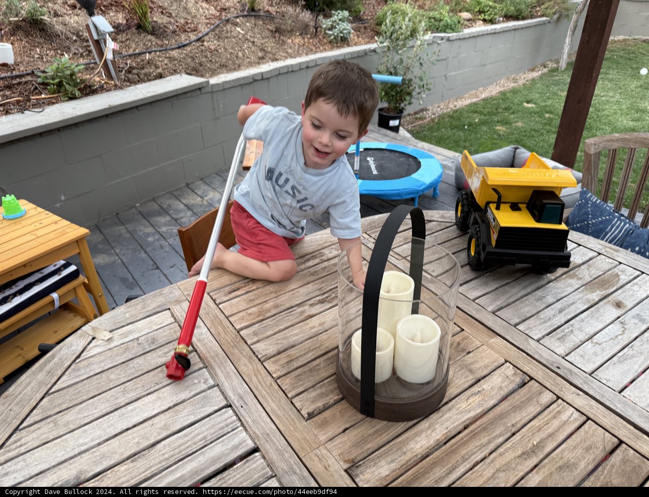 Adventure in the Backyard Oasis