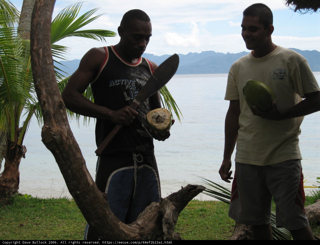 Two Men Enjoying Fresh Coconuts in Fiji