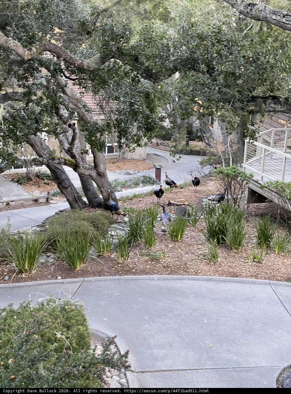 Serene Walkway in Carmel Park