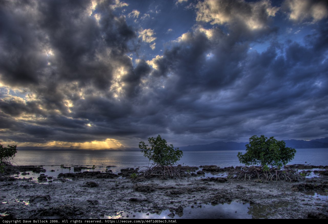 Moody Clouds over Mangroves