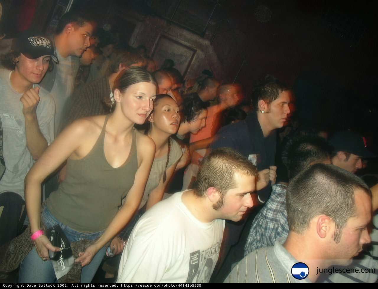 Nightclub Gathering