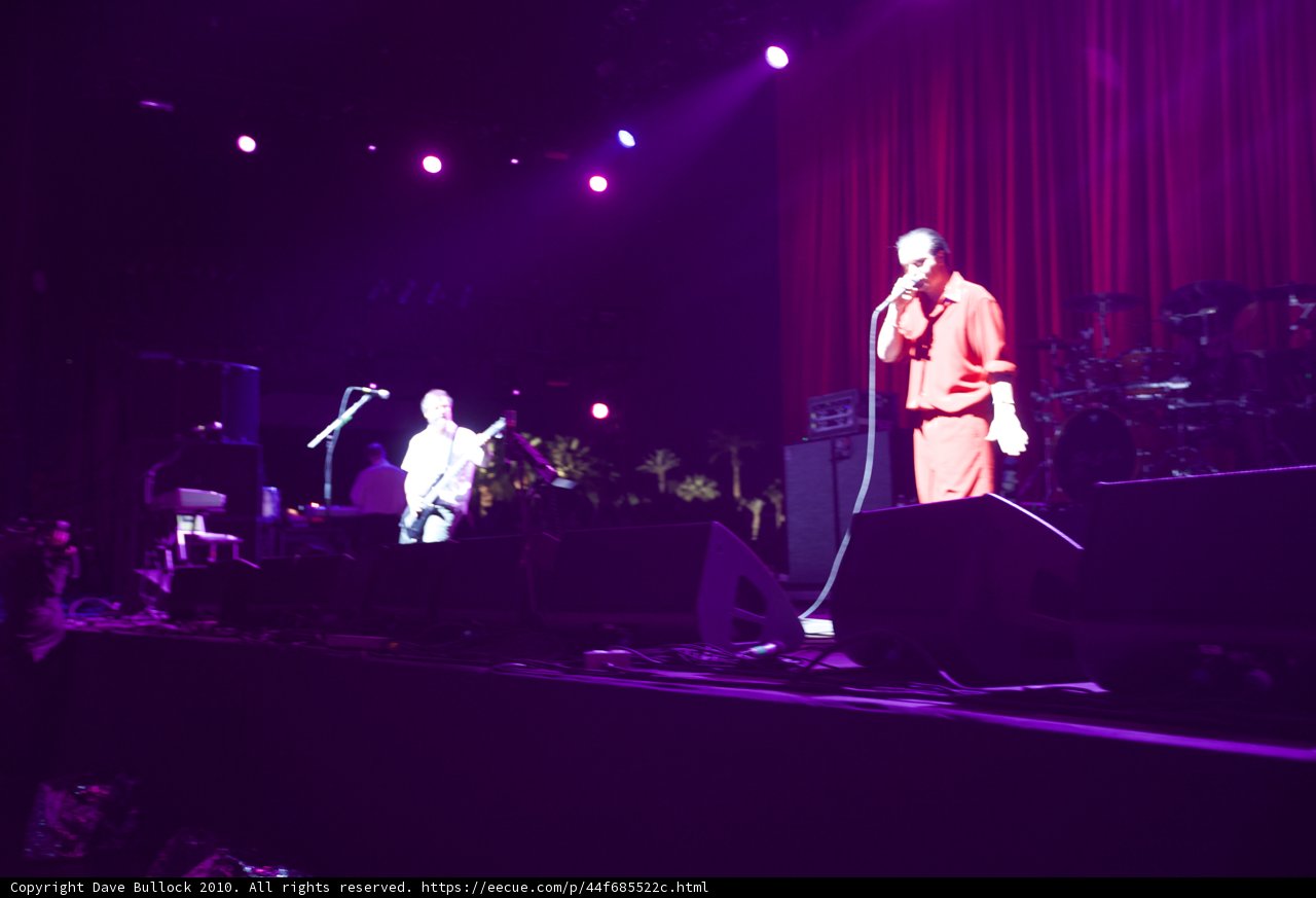 Live Music Performance at Coachella