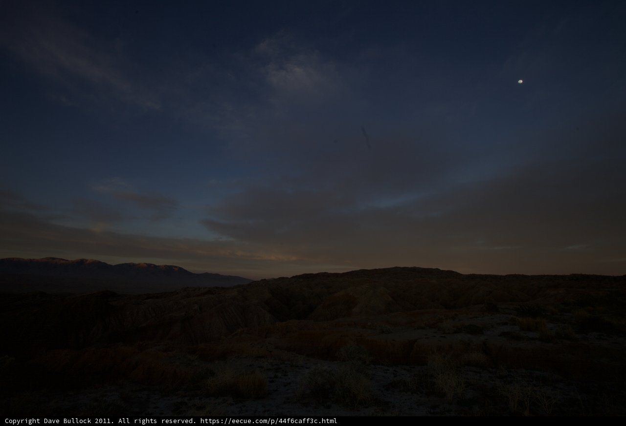 Moonlit Desert Oasis