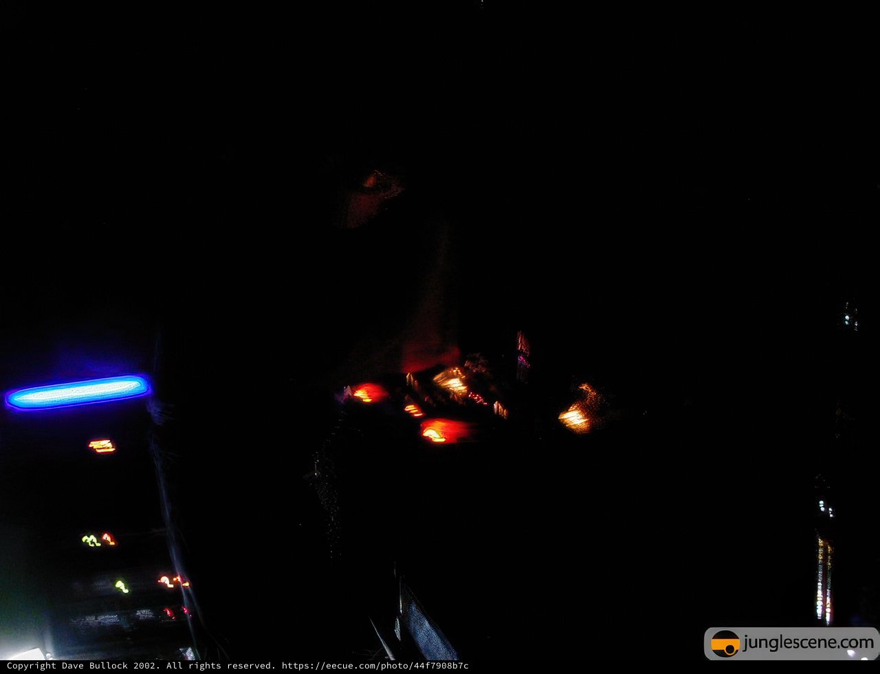 LED Lights Illuminate the Night