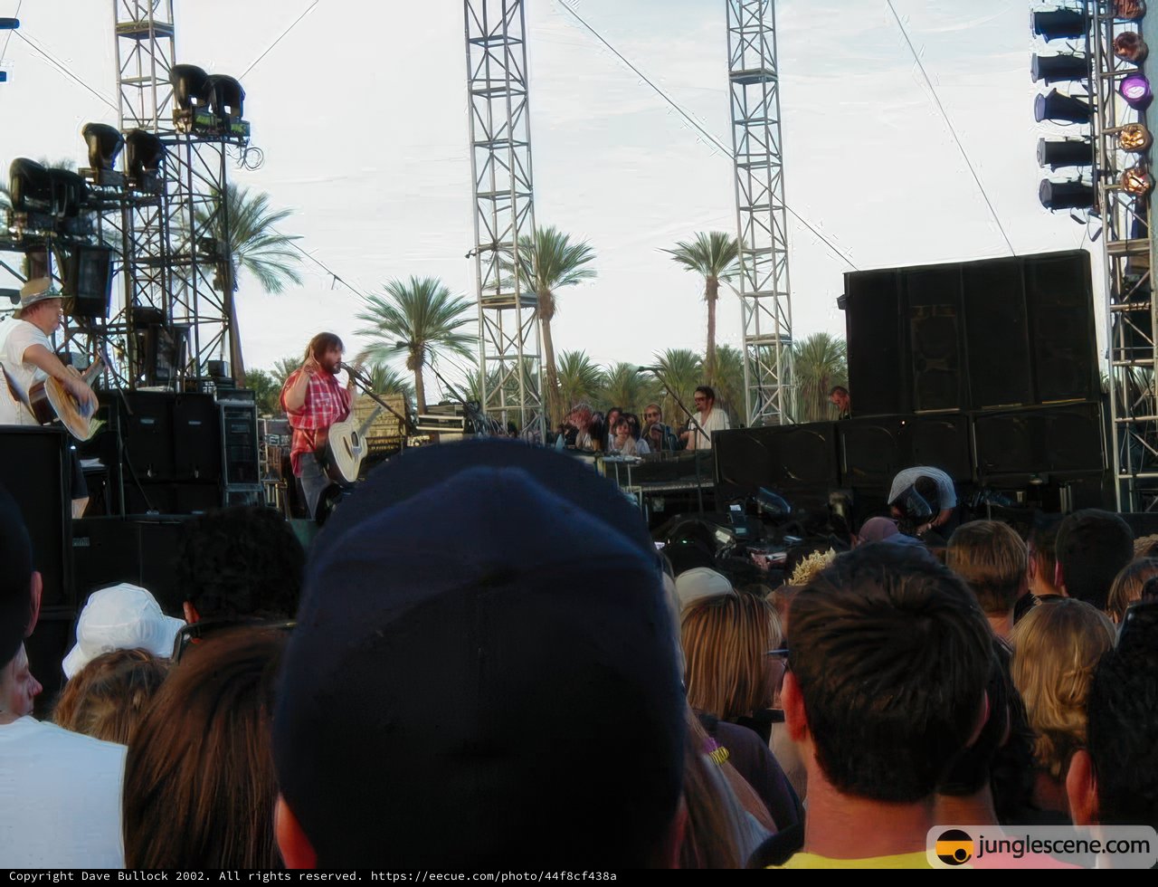 Rocking out under the Palm Trees