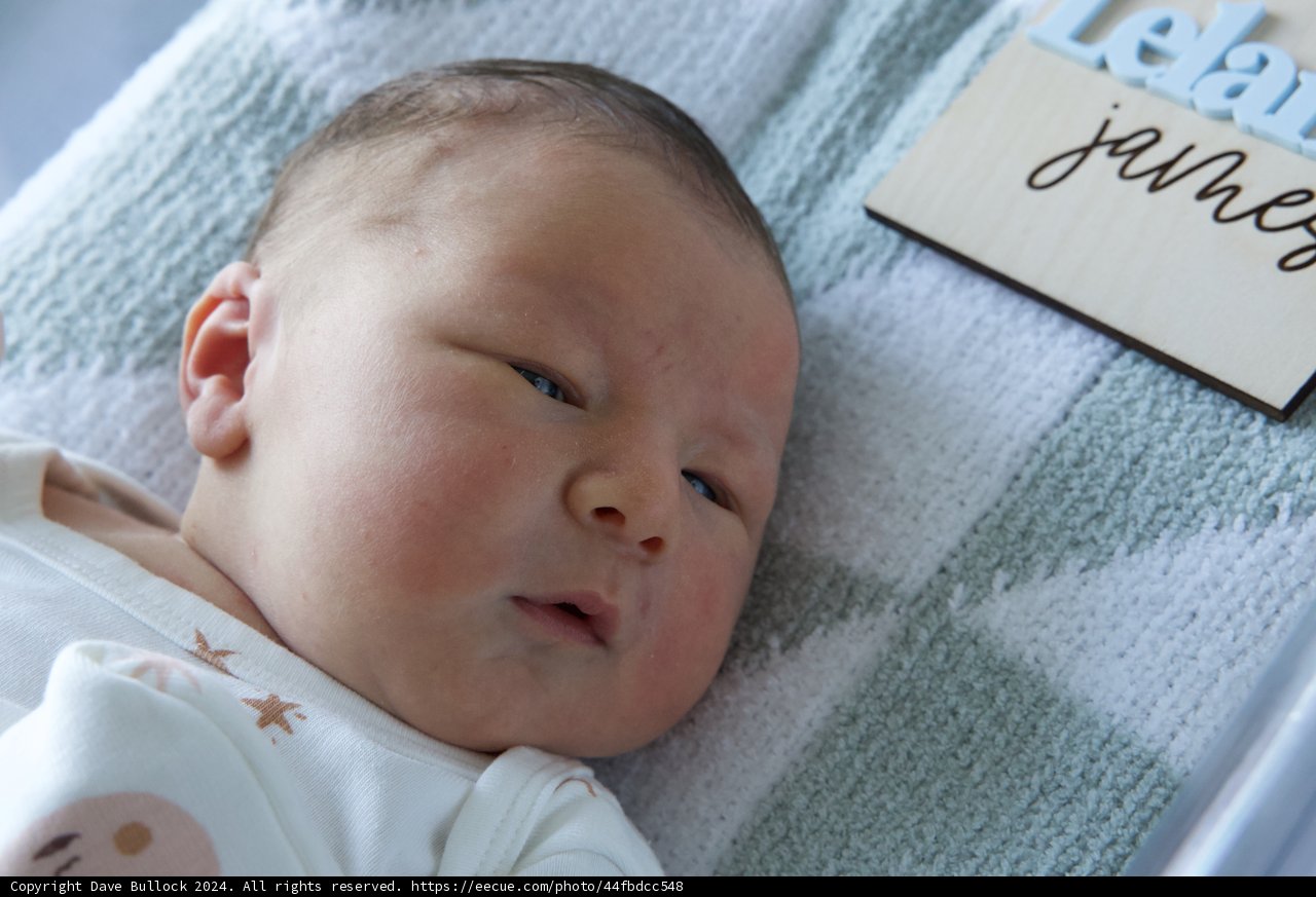 Welcome, Leland!