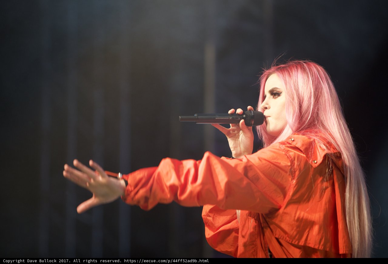 Pink-haired Performer Takes Coachella by Storm