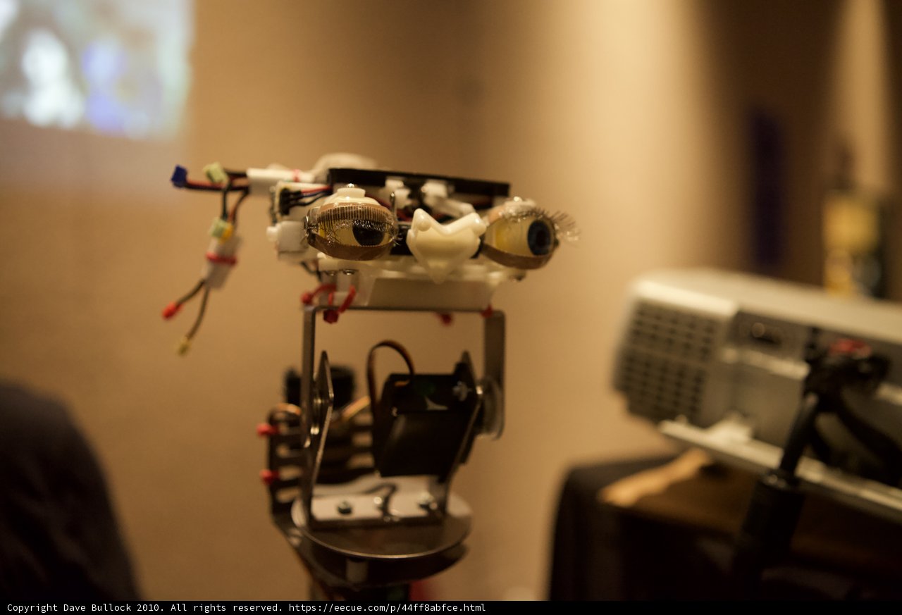 Robotic Audio Assistant