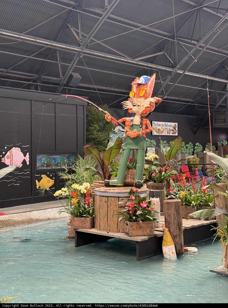 Whimsical Waters in Santa Rosa