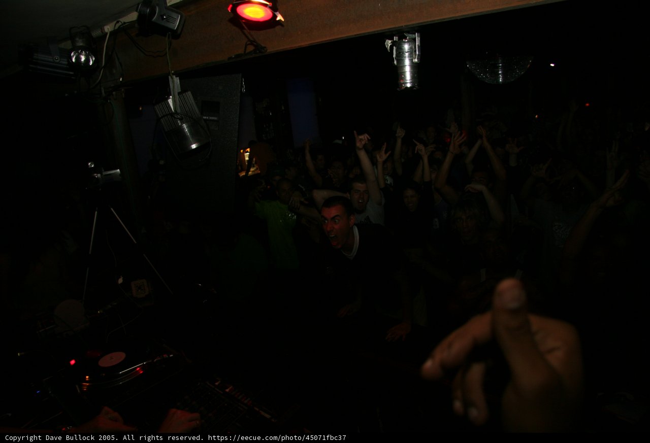 Nightclub Fun