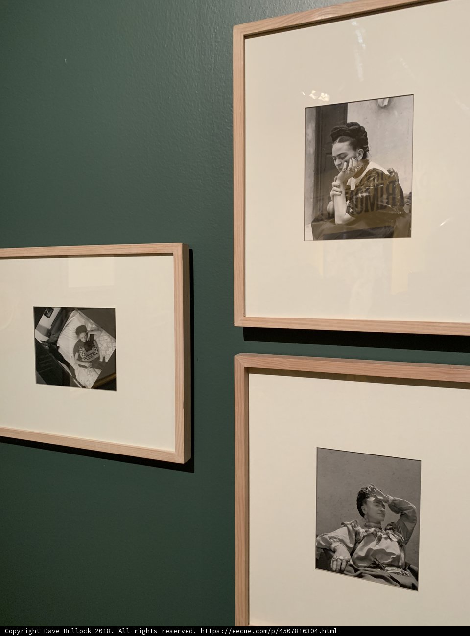 The Many Faces of Frida