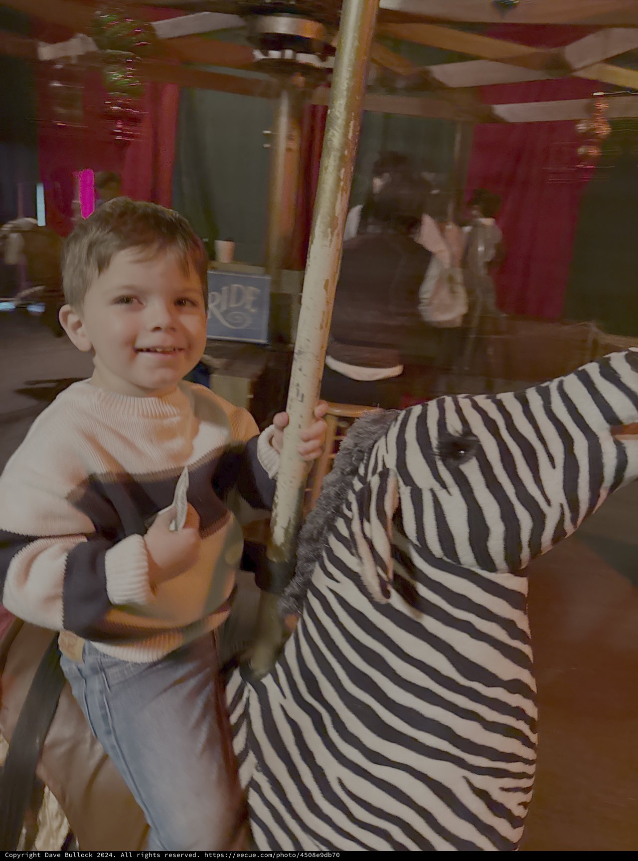 Young Boy Enjoying Carousel Zebra Ride