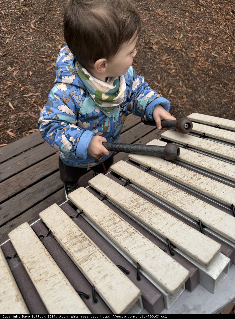 Tuning Innocence: Wesley's Xylophone Adventure