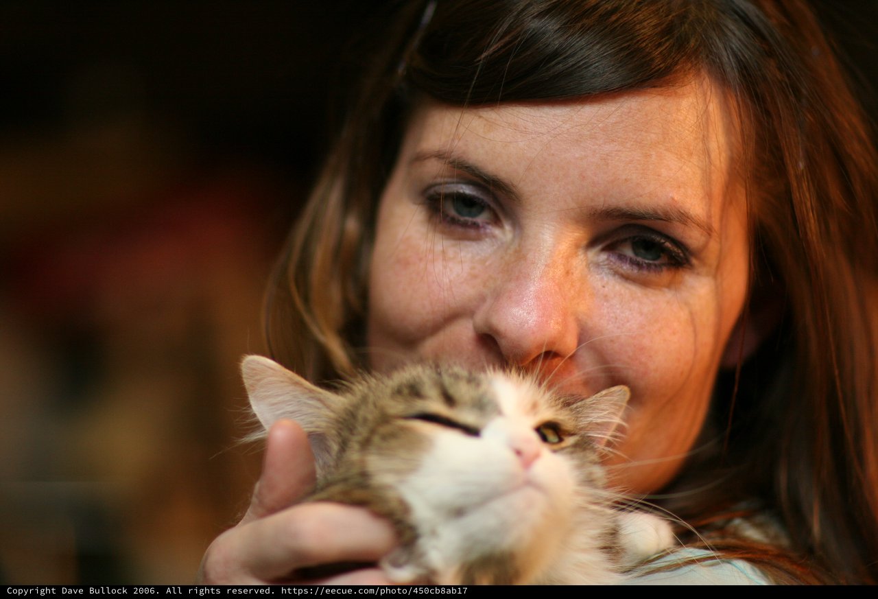 Woman Tenderly Cuddles Fluffy Tabby Cat Close
