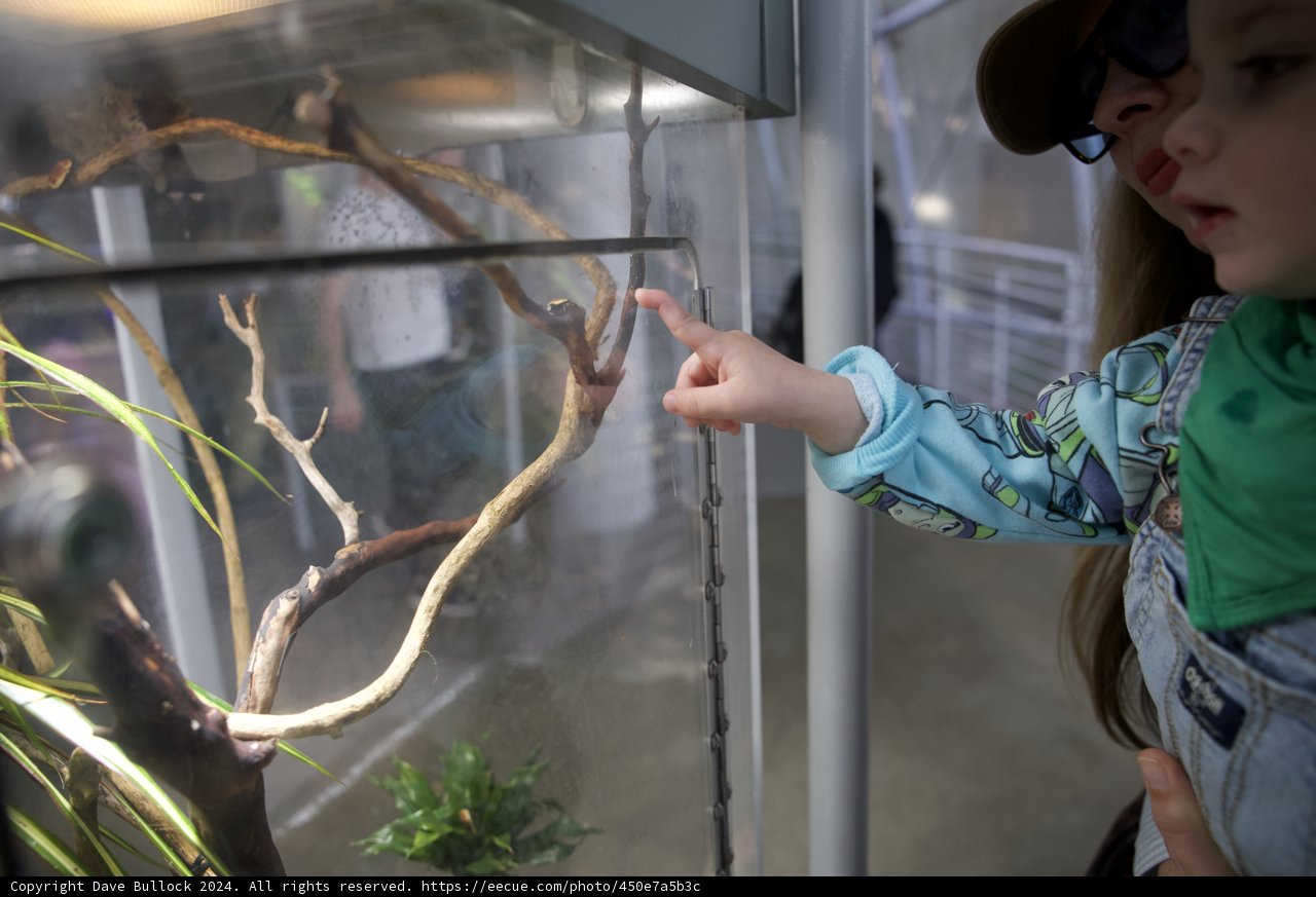 An Intriguing Encounter at the California Academy of Sciences, 2024