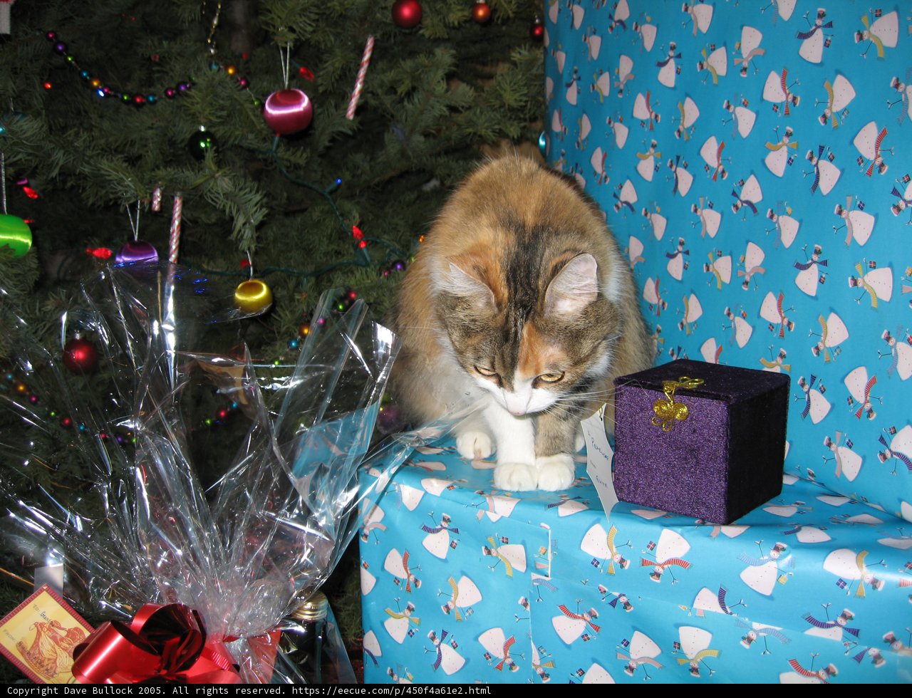 Feline Gift Guardian