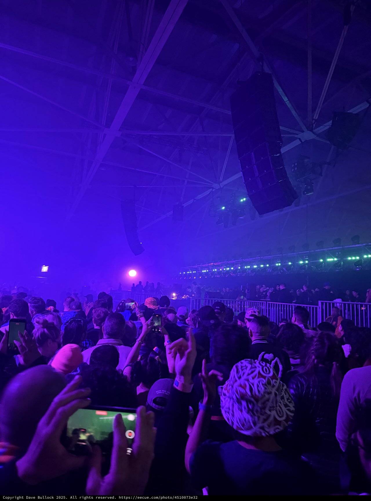 Purple Haze: Electronic Music Concert Crowd Experience