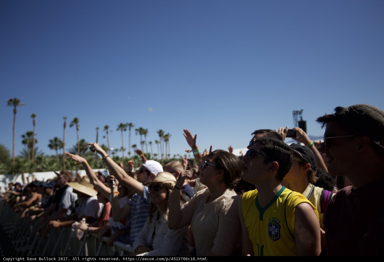 Concert Crowd with Palm Trees
