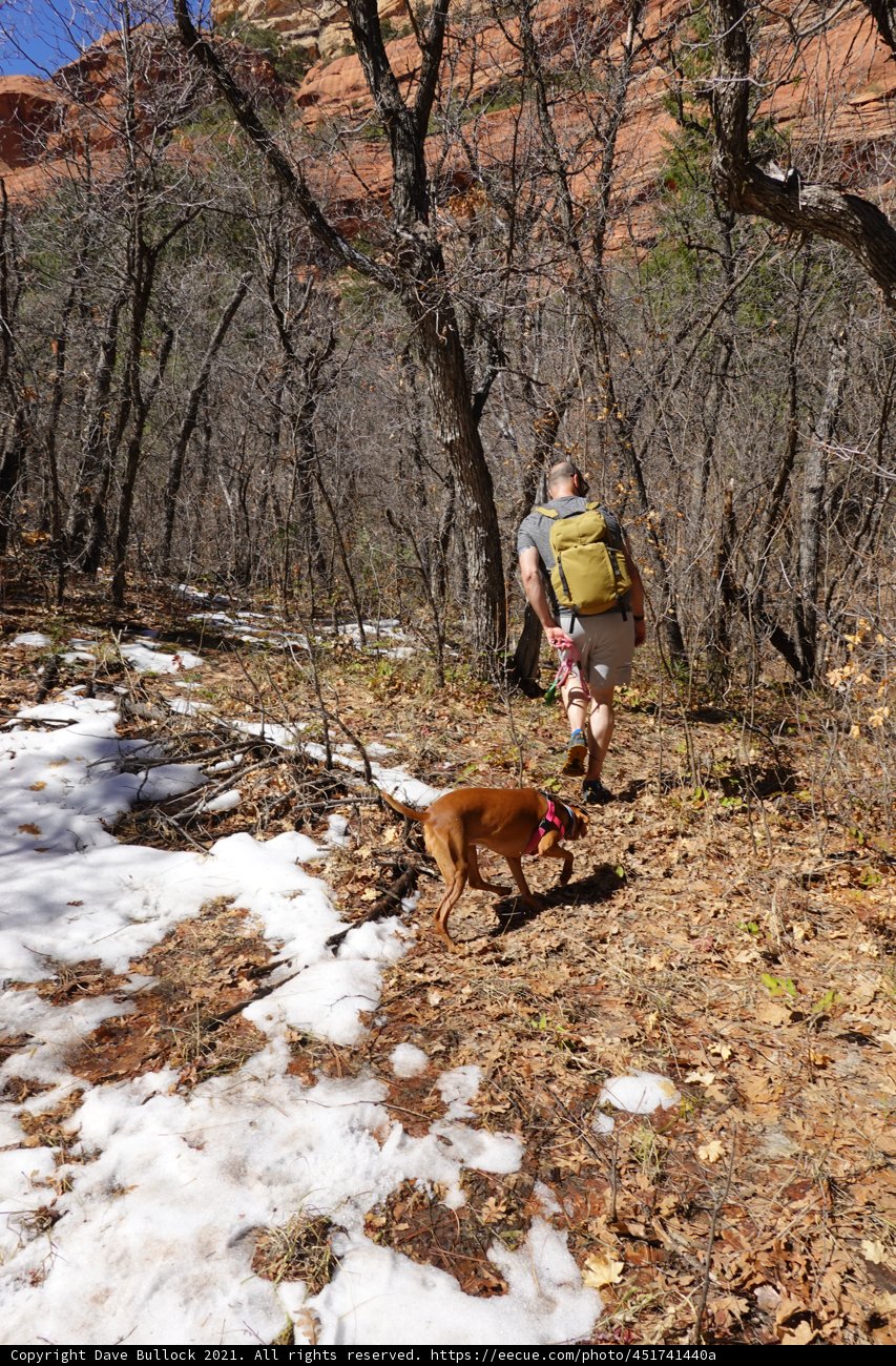 A Man and His Canine Companion Take a Wintery Hike
